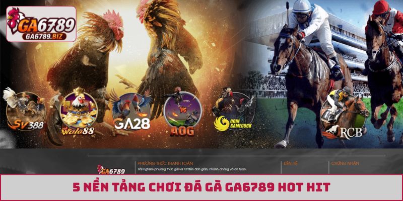 5 nền tảng chơi đá gà GA6789 hot hit