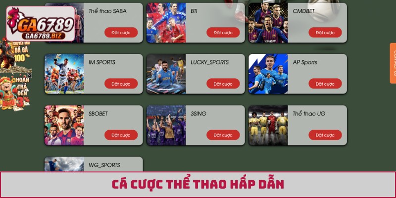 Cá cược thể thao hấp dẫn