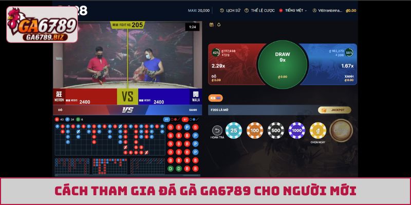 Cách tham gia đá gà GA6789 cho người mới