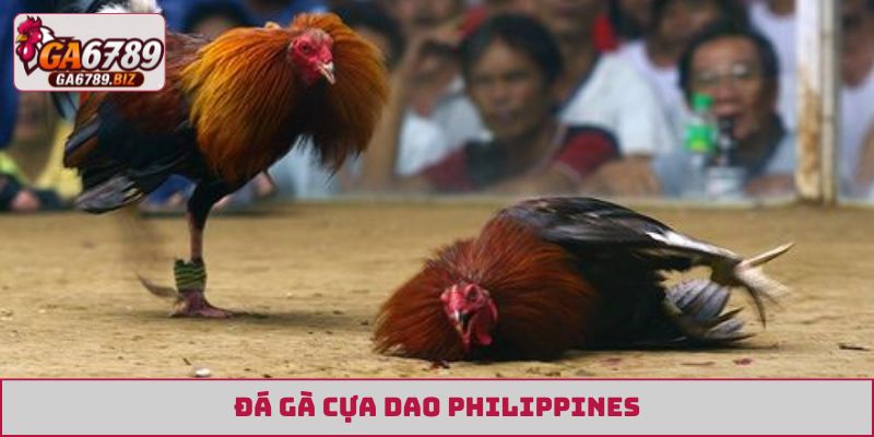 đá gà trực tiếp Thomo