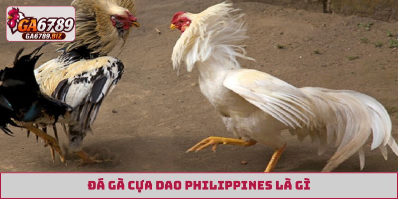 đá gà cựa dao Philippines