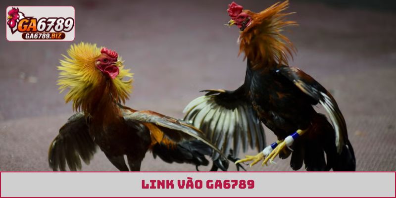 link vào GA6789