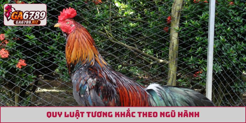 Quy luật tương khắc theo ngũ hành