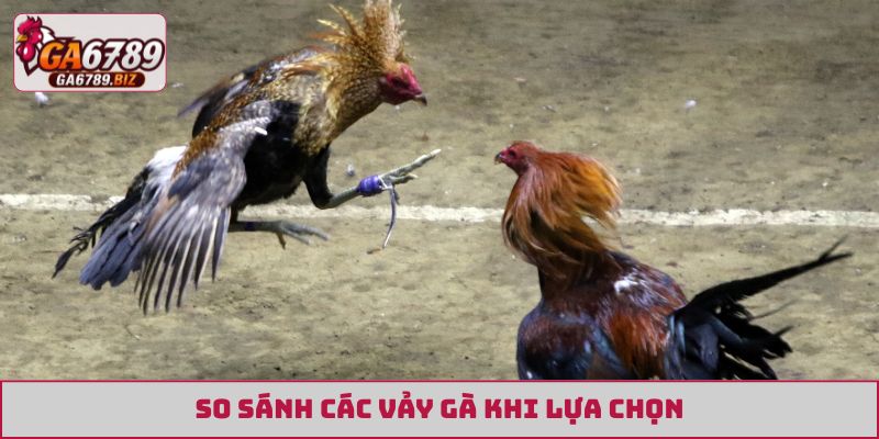 So sánh các vảy gà khi lựa chọn