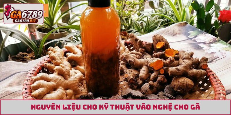 Nguyên liệu cho kỹ thuật vào nghệ cho gà