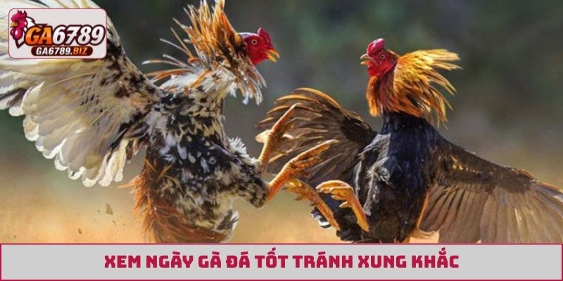 Xem ngày gà đá tốt tránh xung khắc